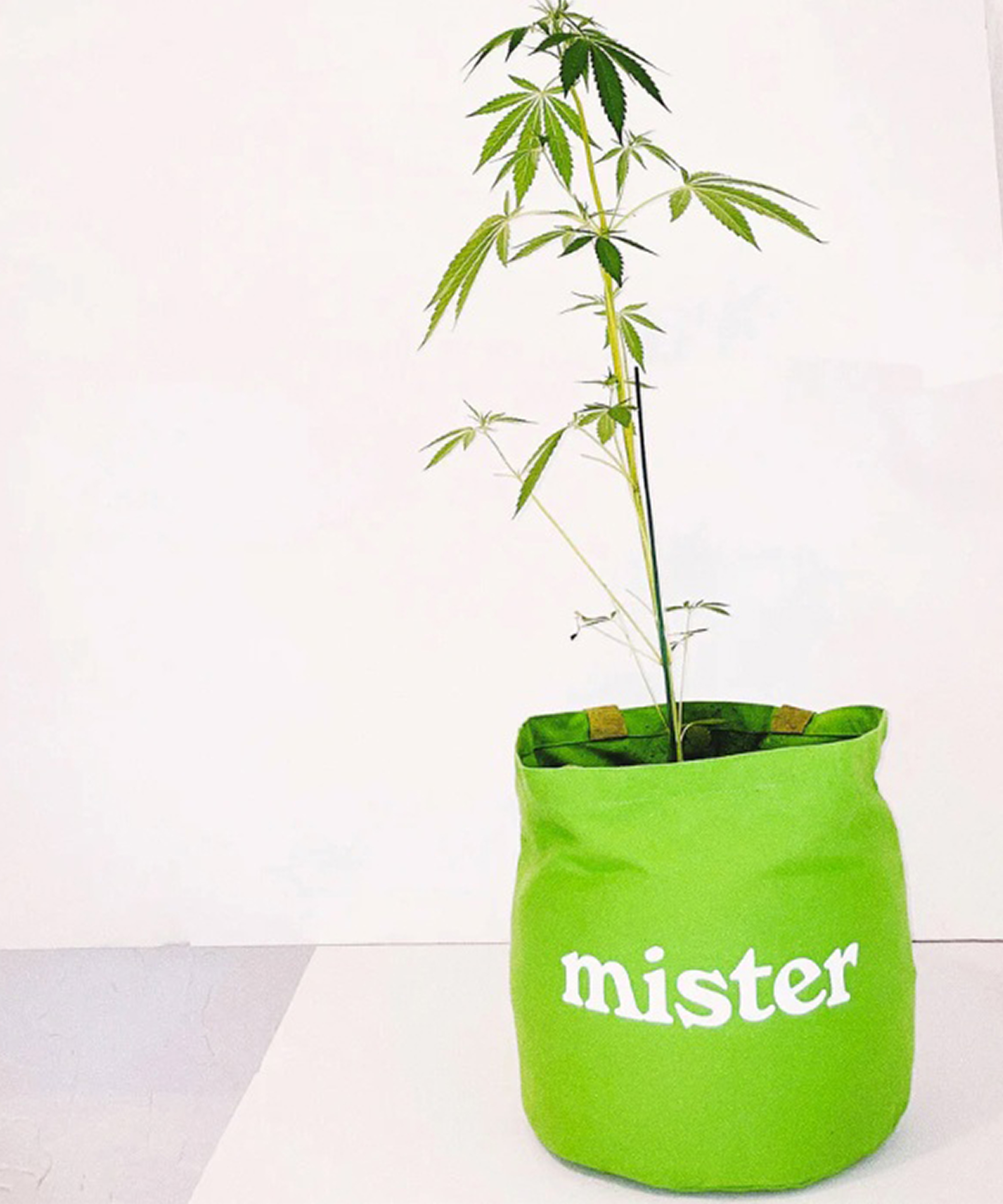 Купить MISTER GREEN - Сумка Mister Green Large Round Tote Grow Bag 